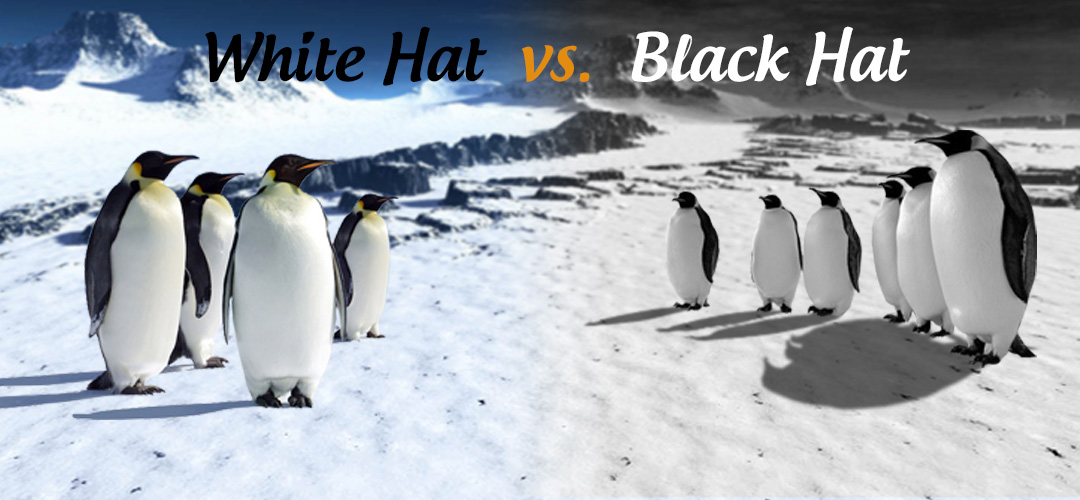Google penguin update – white hat Vs black hat SEO