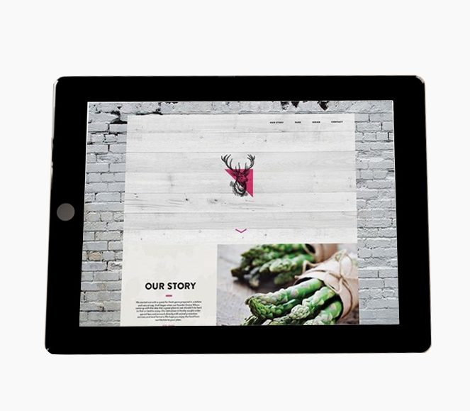 Custom Newsletter Designs