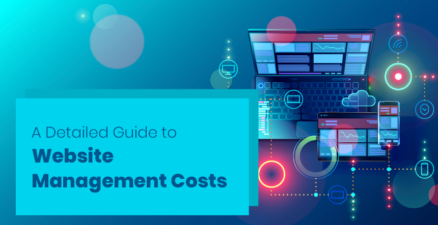 Website Design and Development Costs