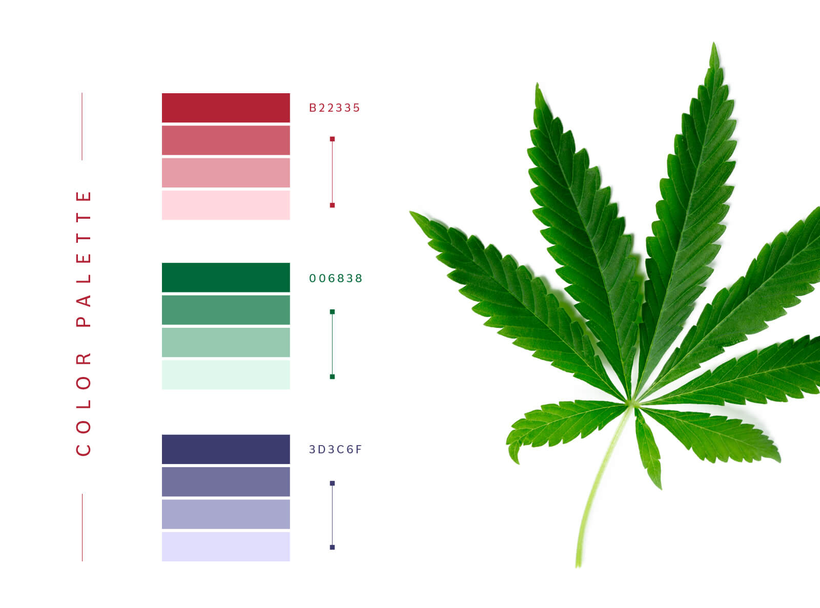 A-MFM's Color patterns