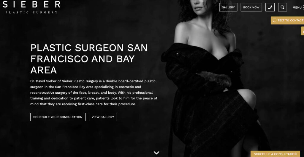 Sieber Plastic Surgery Website Design 